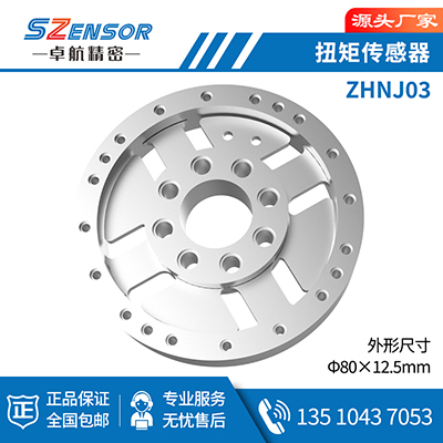 闈?rùn)鎬佹壄鐭╀紶鎰熷櫒 ZHNJ03